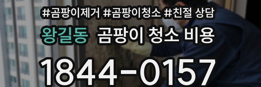 왕길동 곰팡이 청소 비용
