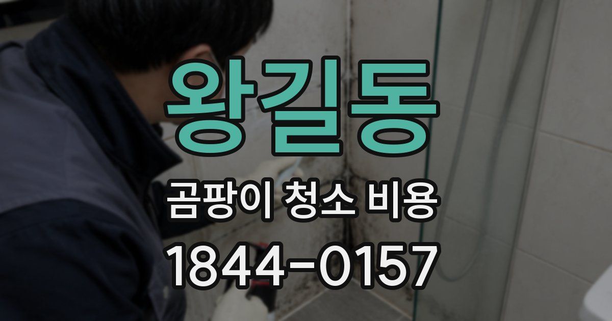 왕길동 곰팡이 청소 비용