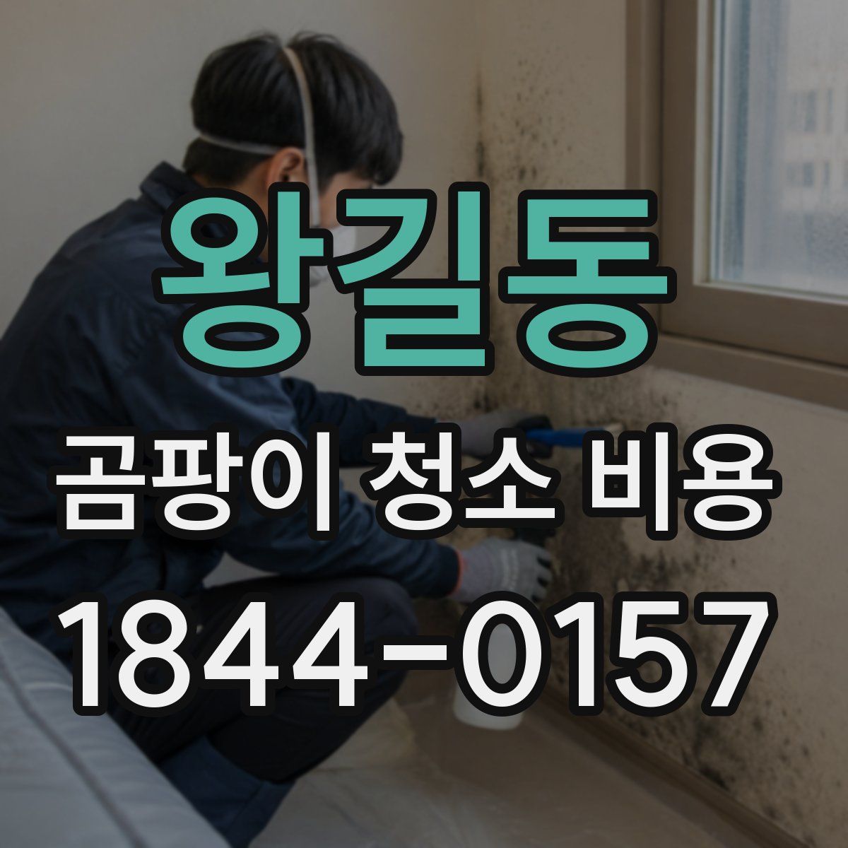 왕길동 곰팡이 청소 비용