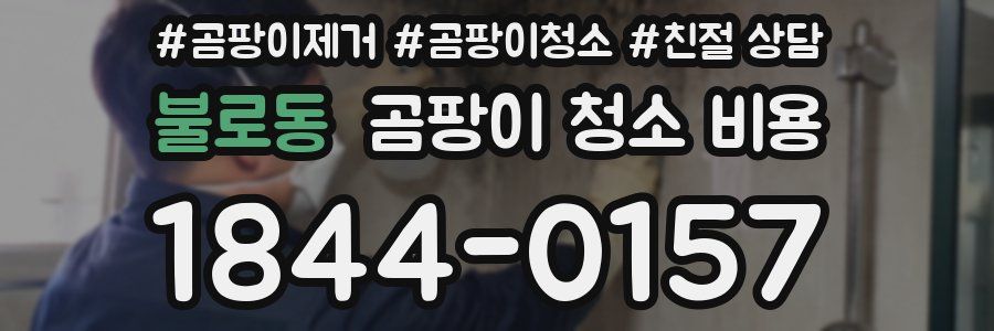불로동 곰팡이 청소 비용
