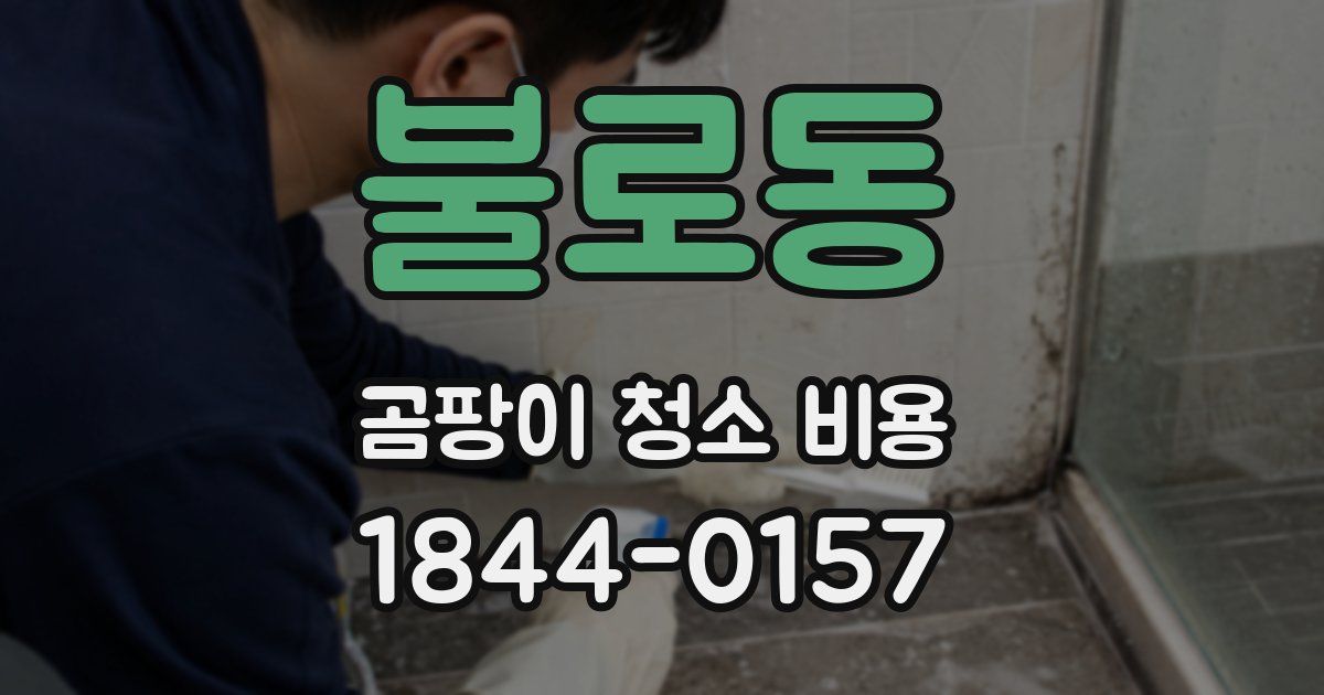 불로동 곰팡이 청소 비용