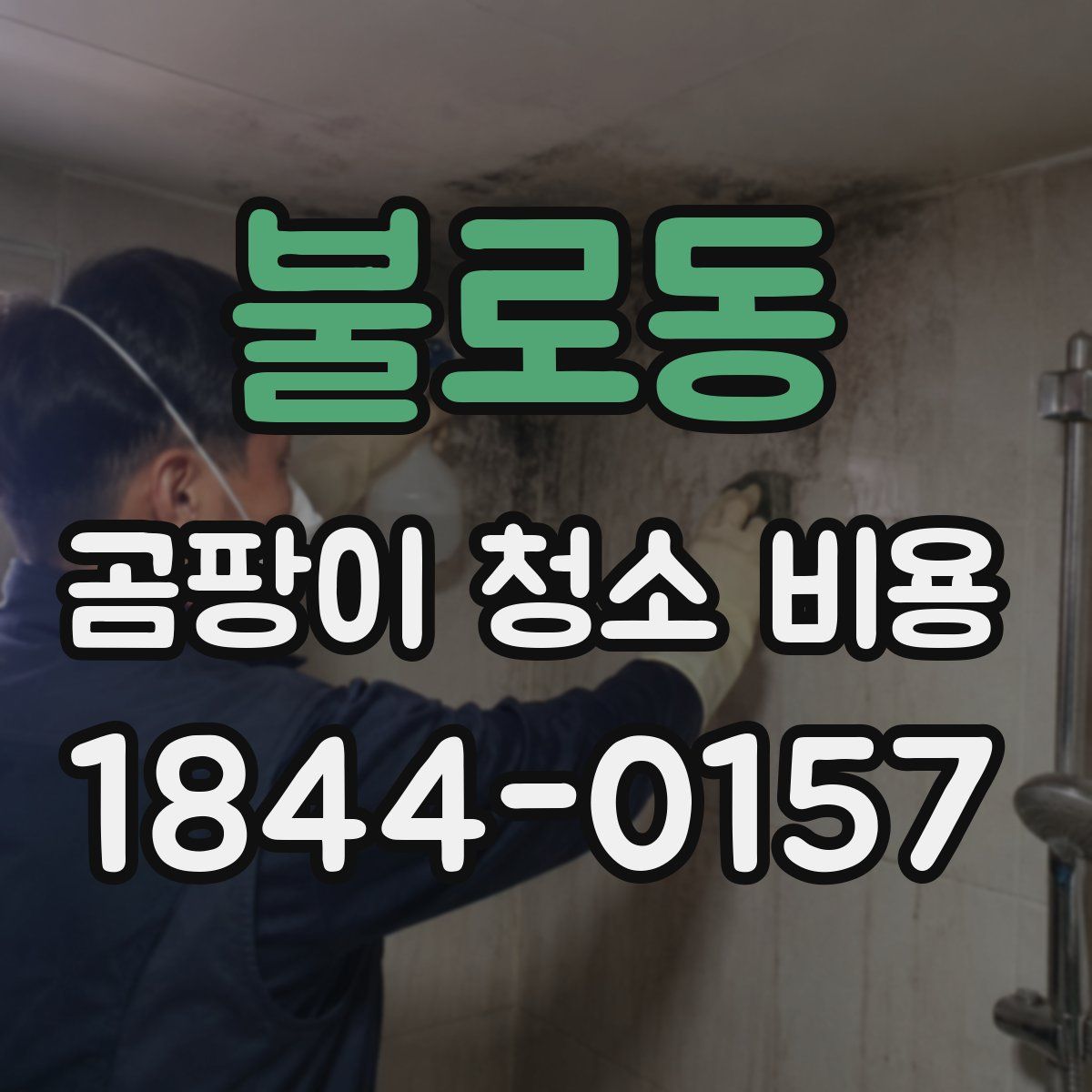 불로동 곰팡이 청소 비용