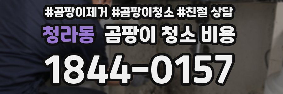 청라동 곰팡이 청소 비용