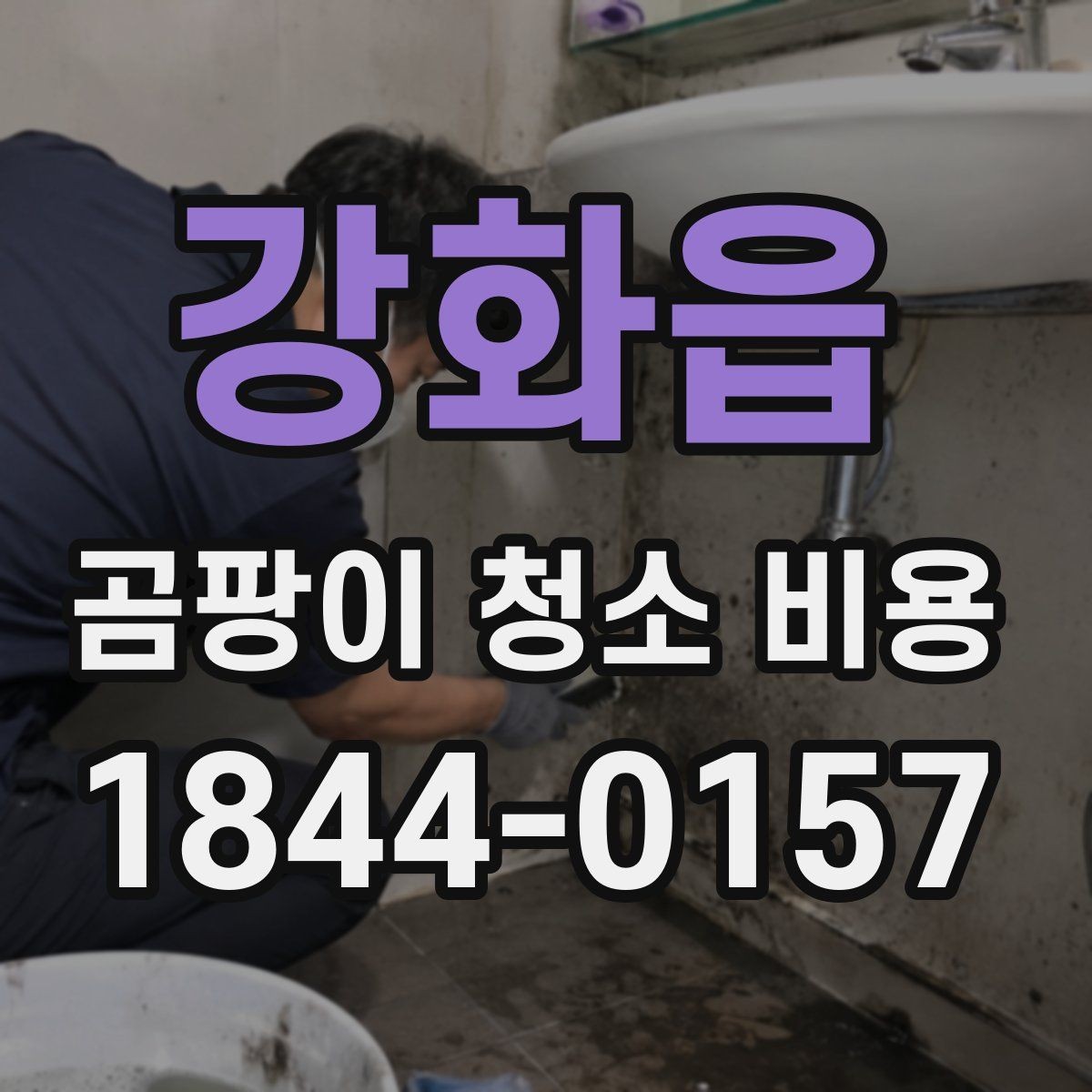 강화읍 곰팡이 청소 비용 산정에 필요한 현장 정보 모음