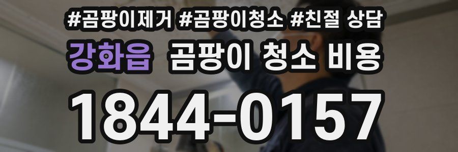 강화읍 곰팡이 청소 비용