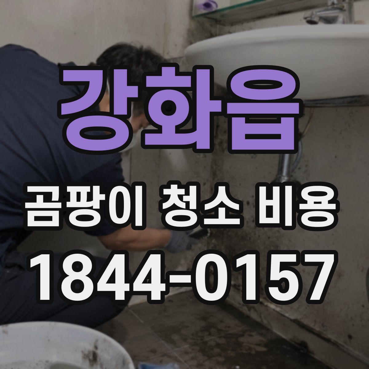 강화읍 곰팡이 청소 비용