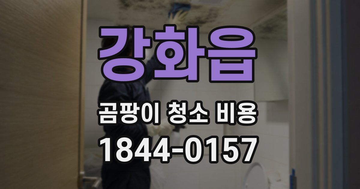 강화읍 곰팡이 청소 비용