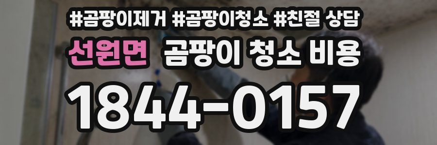 선원면 곰팡이 청소 비용