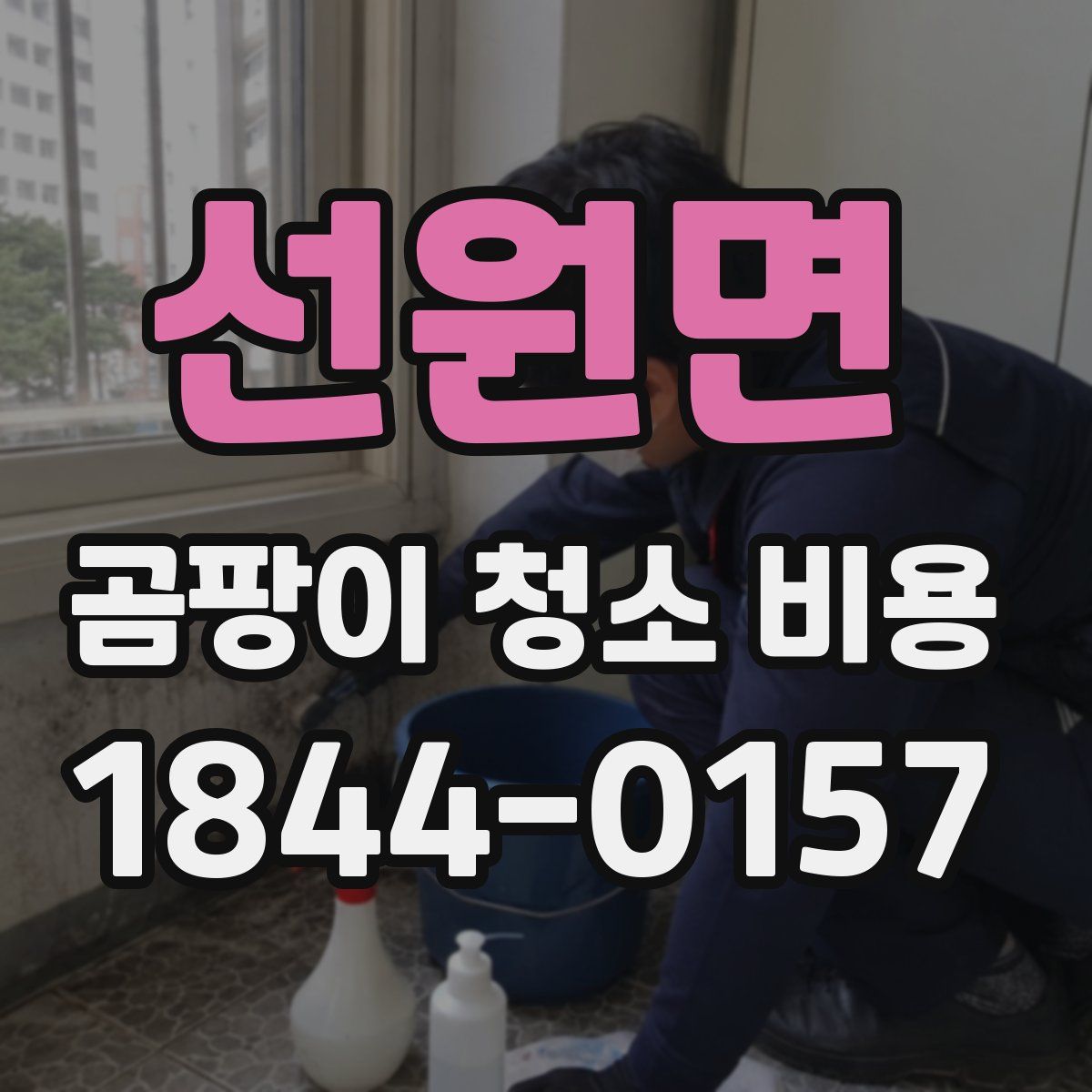 선원면 곰팡이 청소 비용