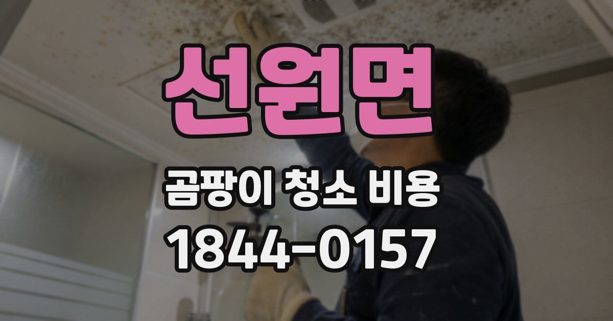선원면 곰팡이 청소 비용