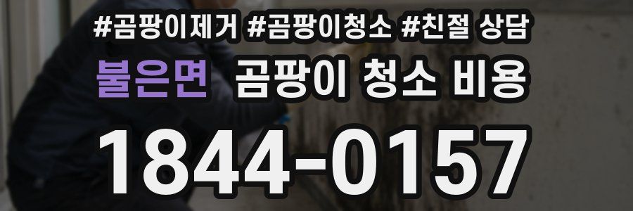 불은면 곰팡이 청소 비용
