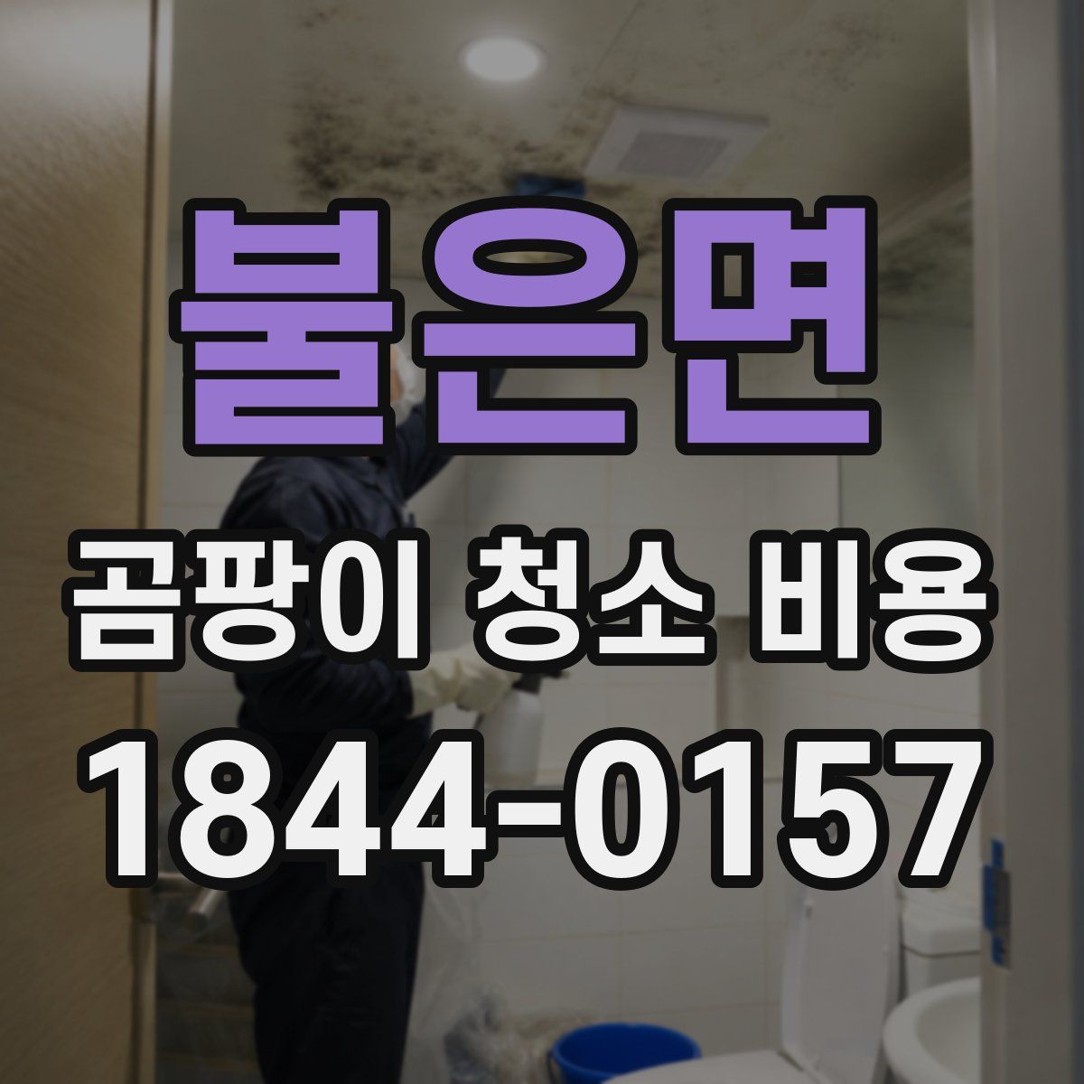 불은면 곰팡이 청소 비용