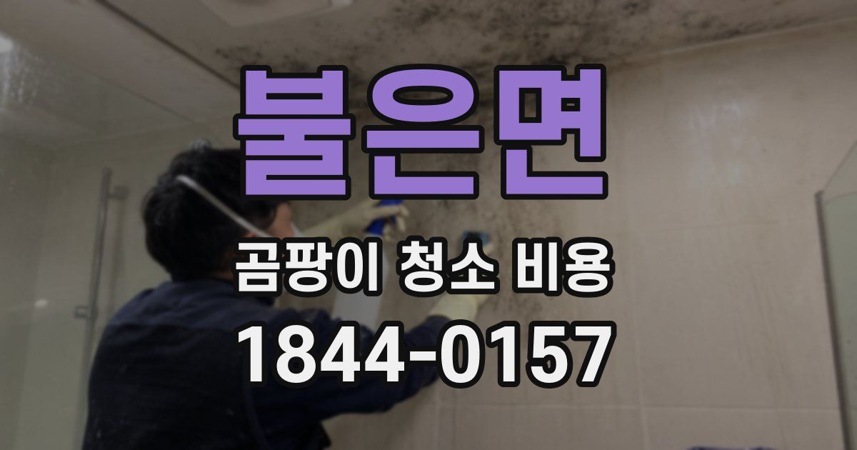 불은면 곰팡이 청소 비용