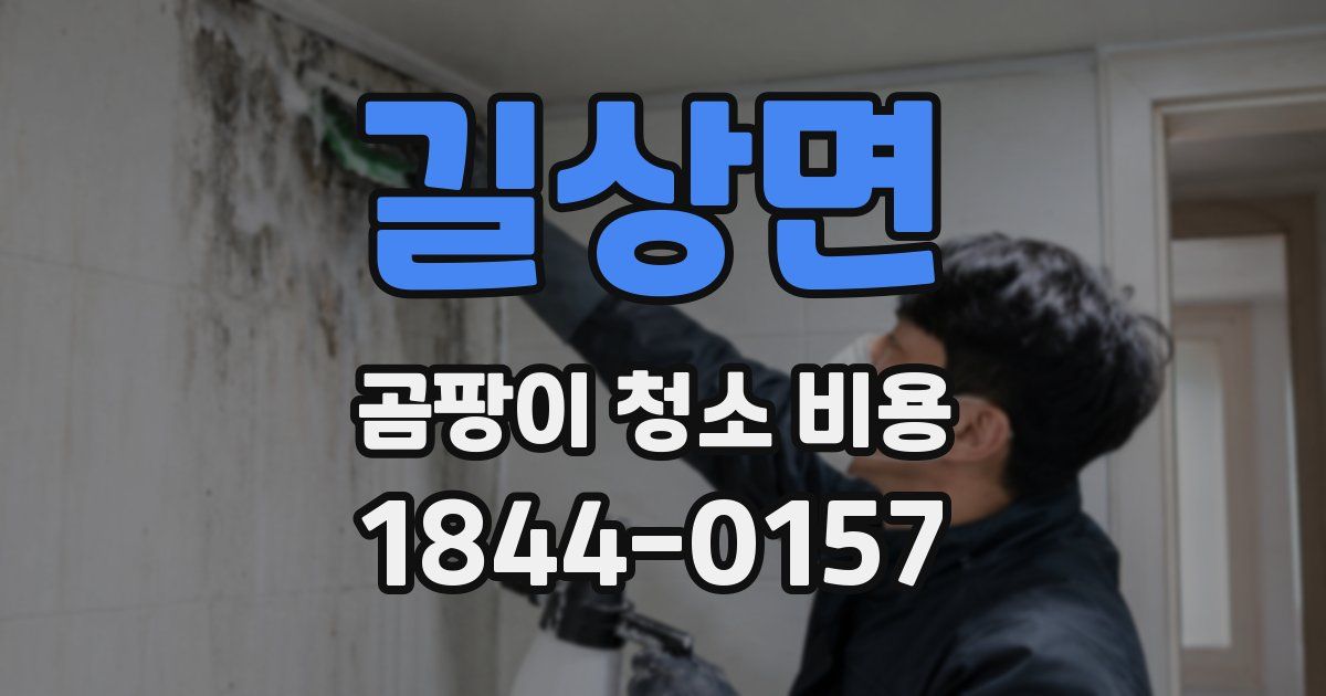 길상면 곰팡이 청소 비용