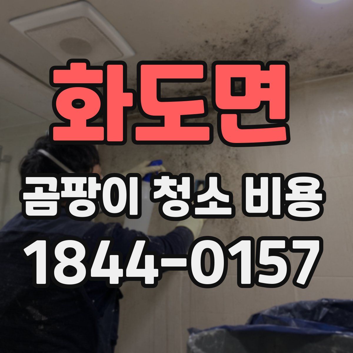 화도면 곰팡이 청소 비용