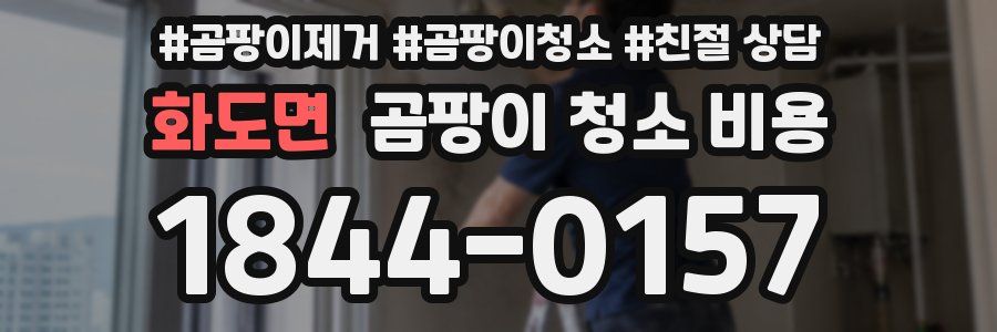 화도면 곰팡이 청소 비용