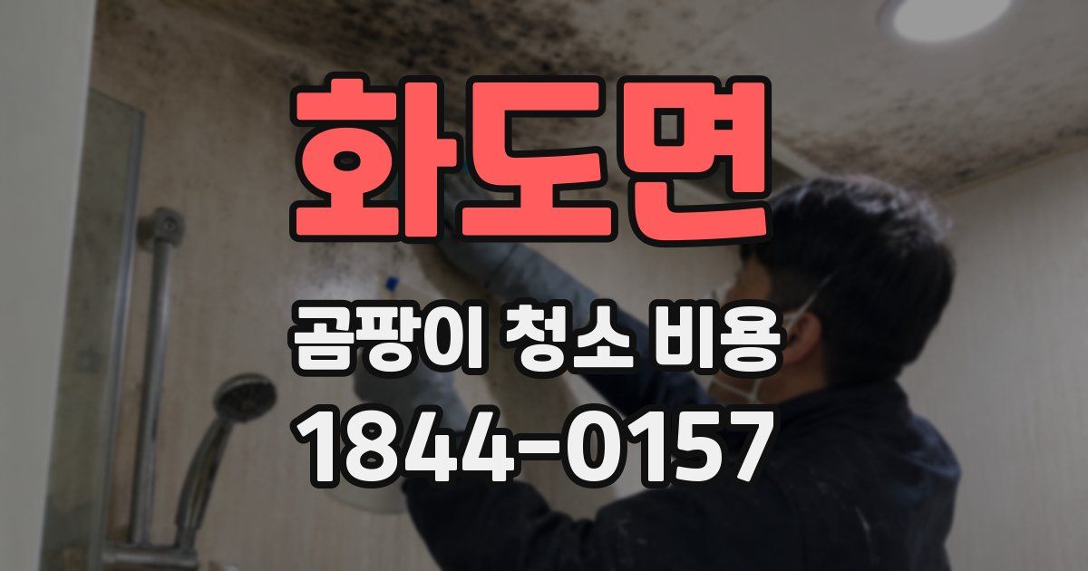 화도면 곰팡이 청소 비용