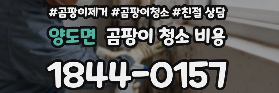 양도면 곰팡이 청소 비용
