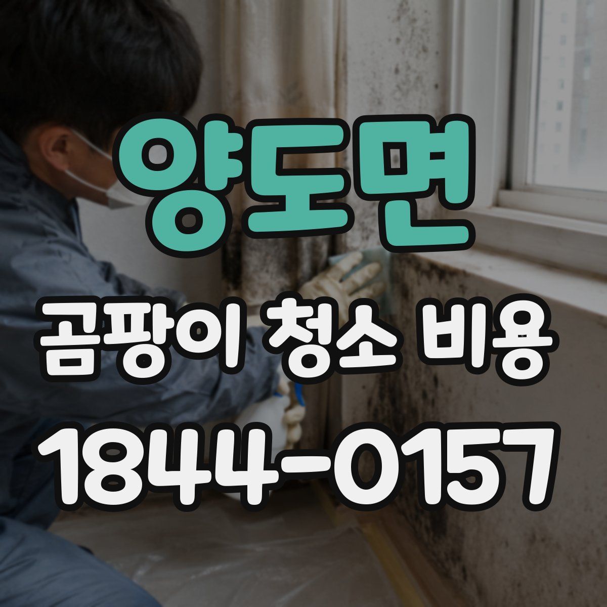양도면 곰팡이 청소 비용