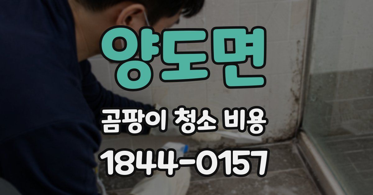 양도면 곰팡이 청소 비용