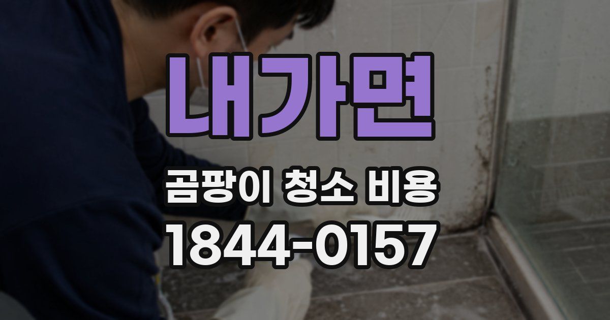내가면 곰팡이 청소 비용