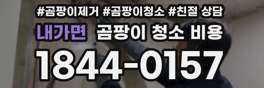 내가면 곰팡이 청소 비용