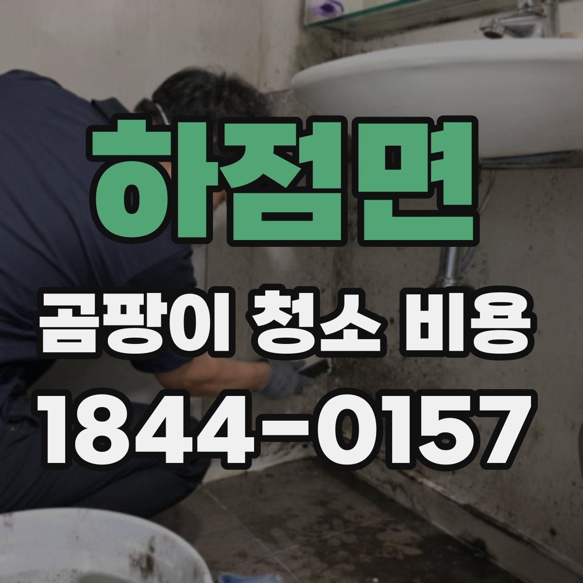 하점면 곰팡이 청소 비용