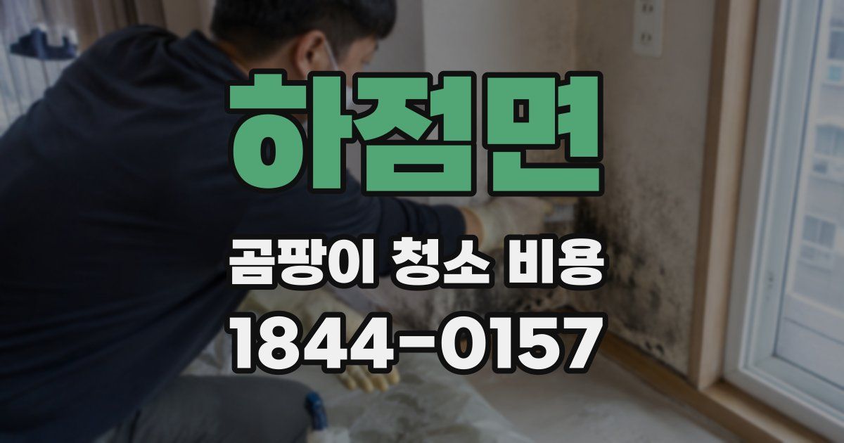 하점면 곰팡이 청소 비용