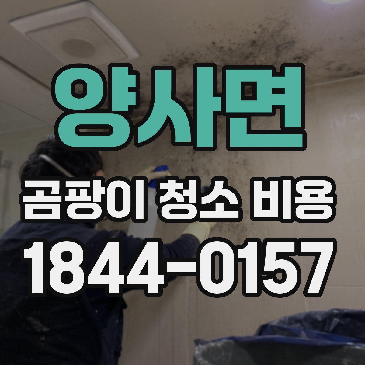양사면 곰팡이 청소 비용