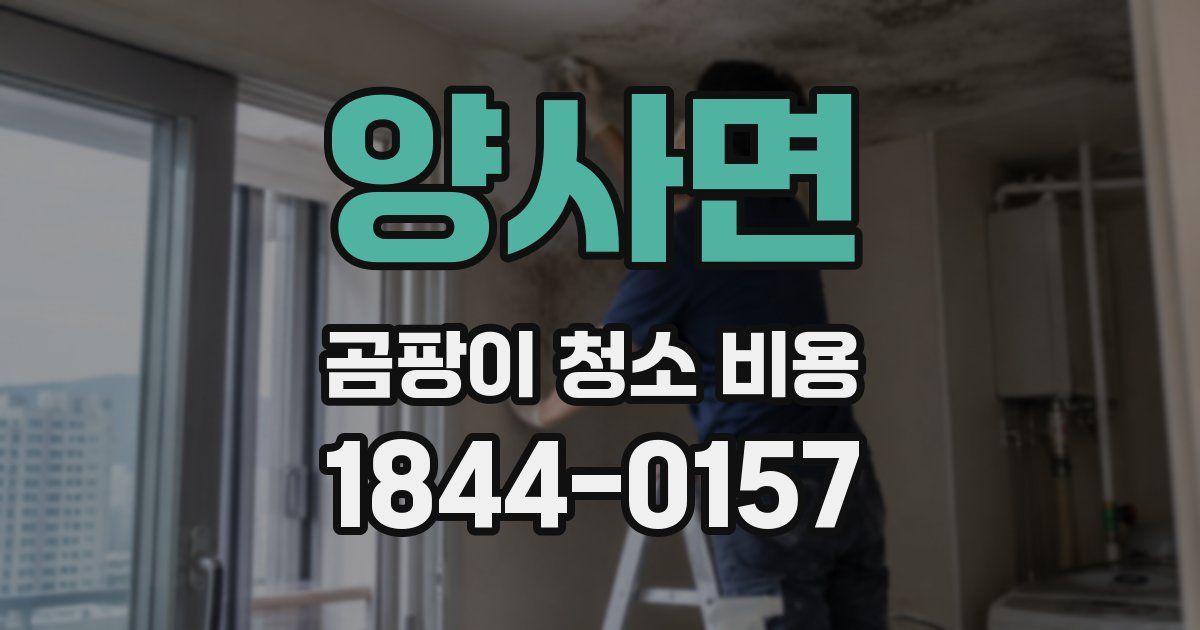 양사면 곰팡이 청소 비용