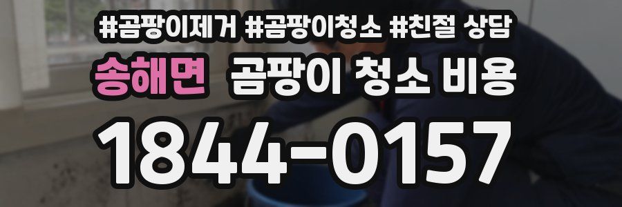 송해면 곰팡이 청소 비용