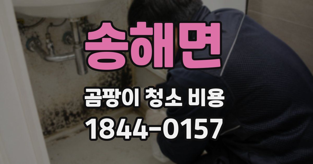 송해면 곰팡이 청소 비용