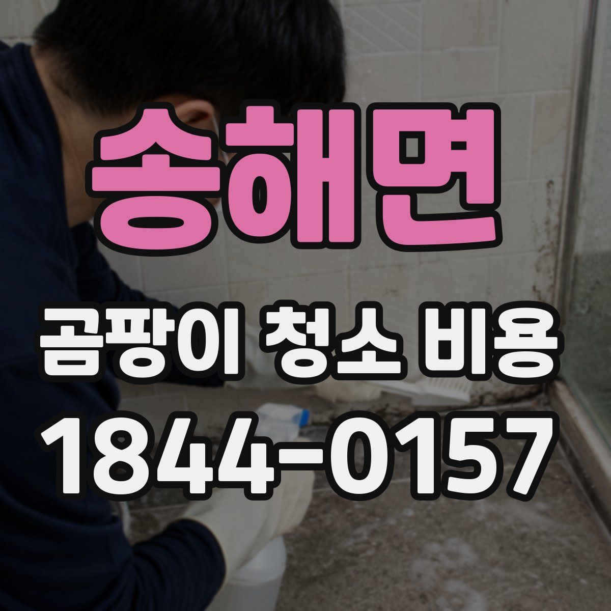 송해면 곰팡이 청소 비용