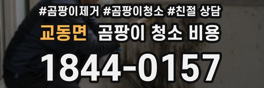 교동면 곰팡이 청소 비용