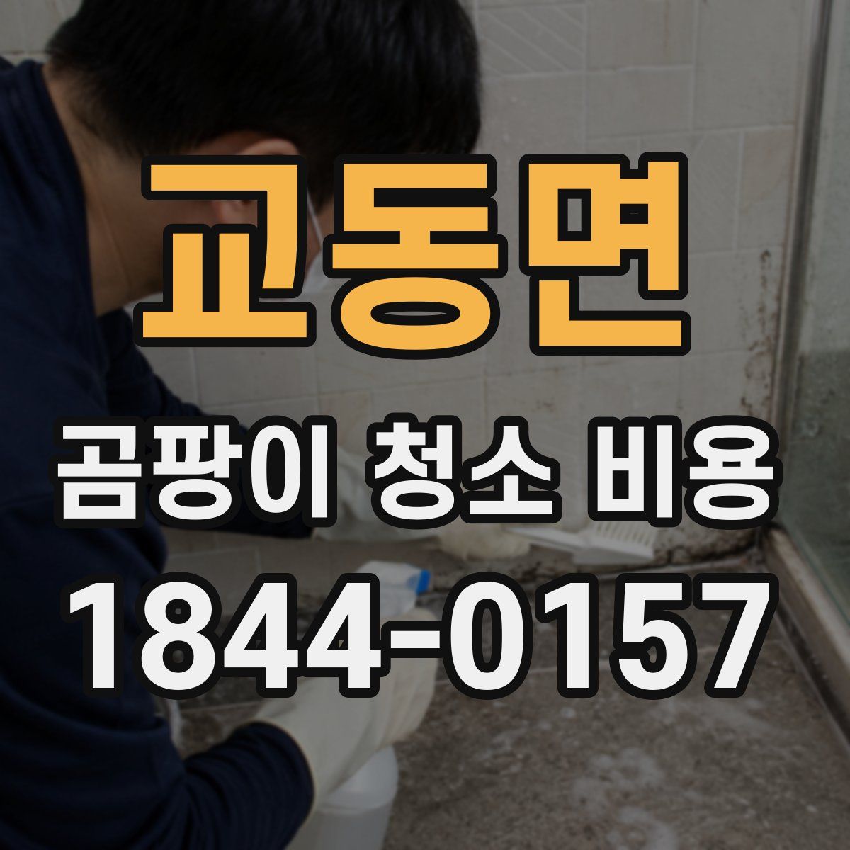 교동면 곰팡이 청소 비용