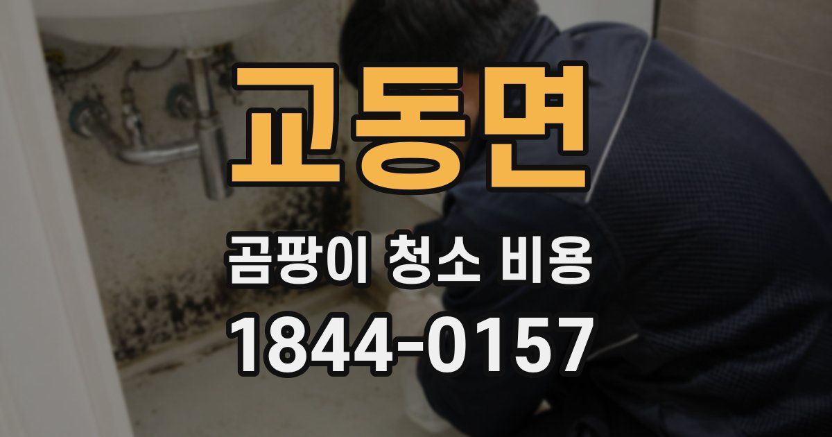 교동면 곰팡이 청소 비용