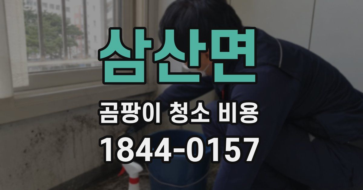 삼산면 곰팡이 청소 비용