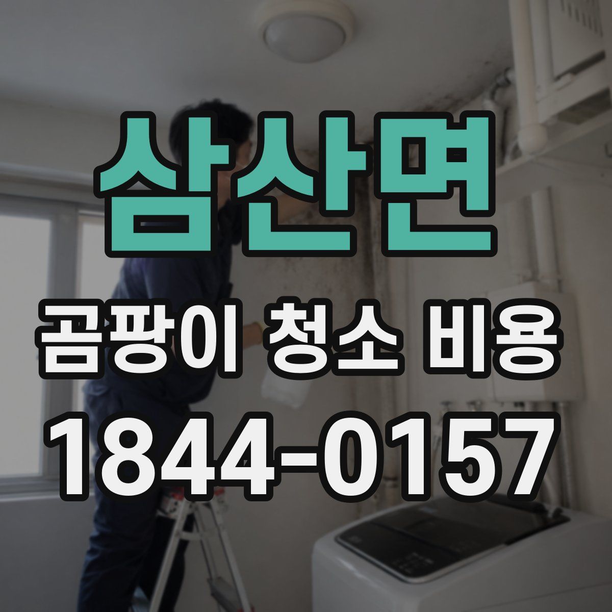 삼산면 곰팡이 청소 비용