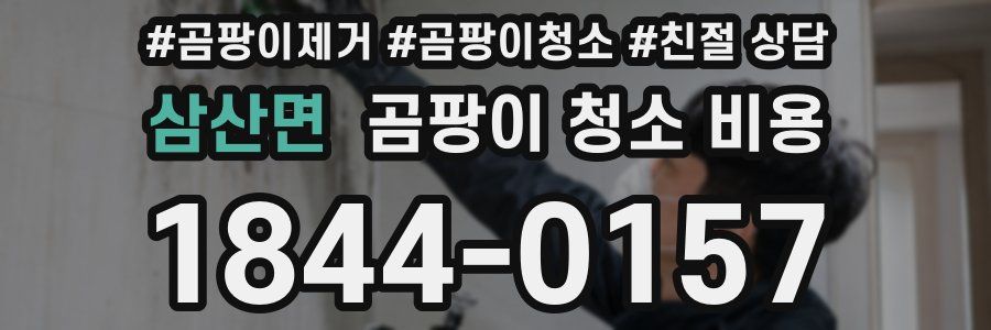 삼산면 곰팡이 청소 비용