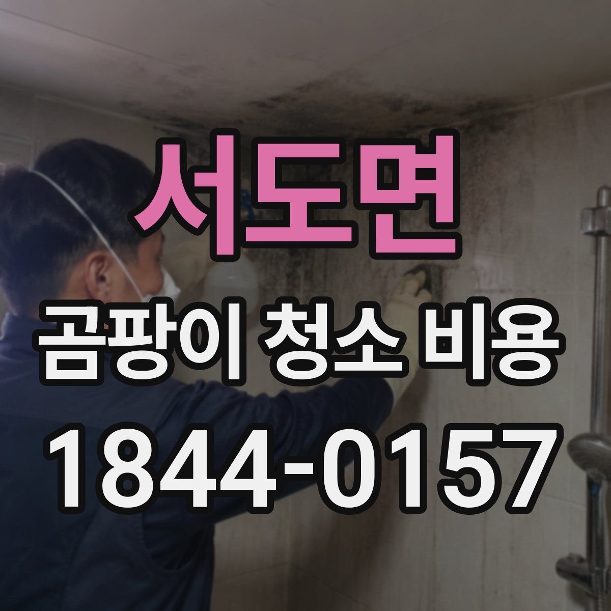 서도면 곰팡이 청소 비용