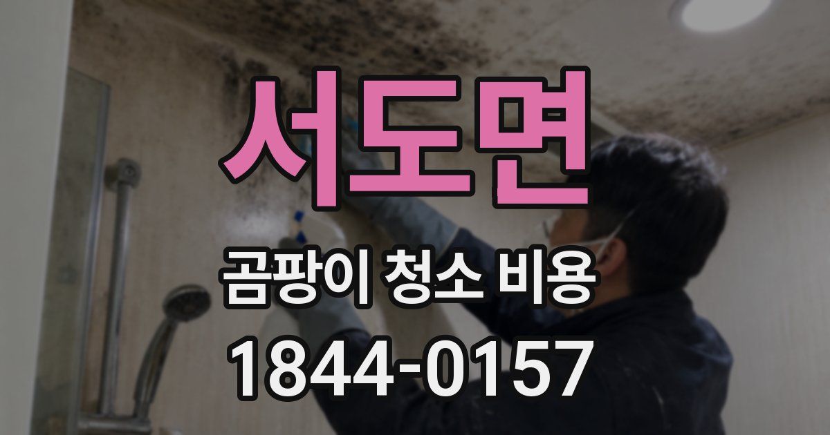 서도면 곰팡이 청소 비용