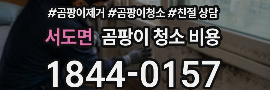서도면 곰팡이 청소 비용