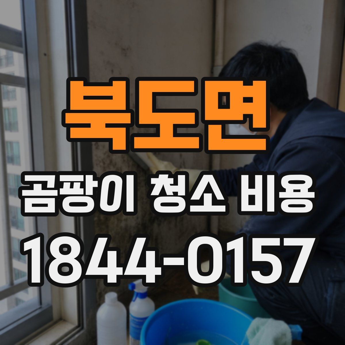 북도면 곰팡이 청소 비용
