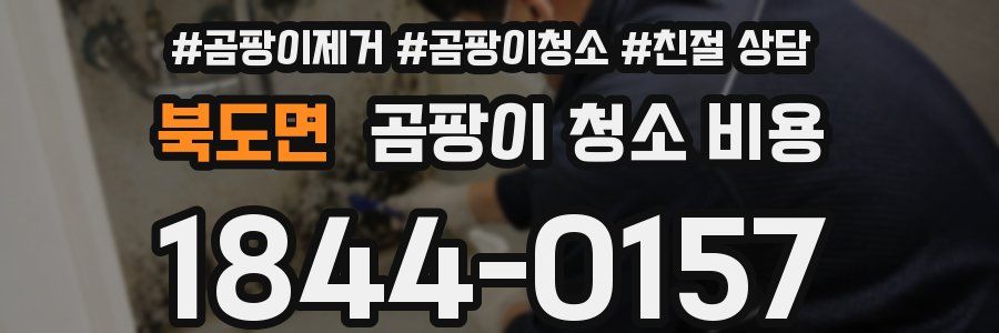 북도면 곰팡이 청소 비용