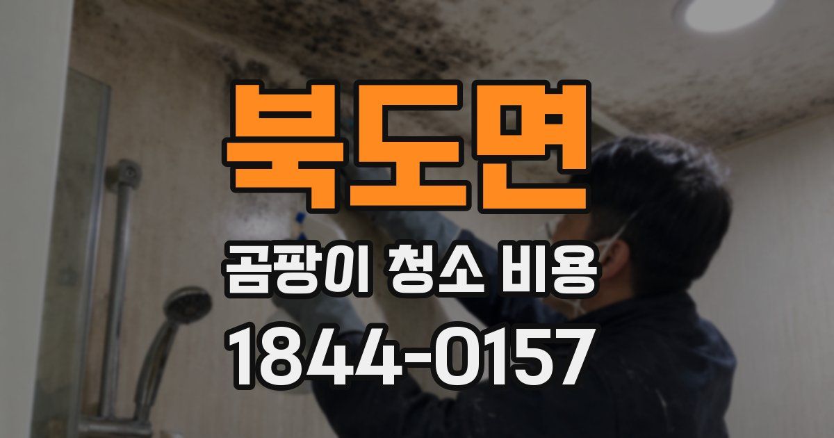 북도면 곰팡이 청소 비용