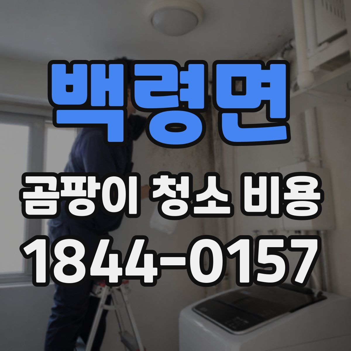 백령면 곰팡이 청소 비용