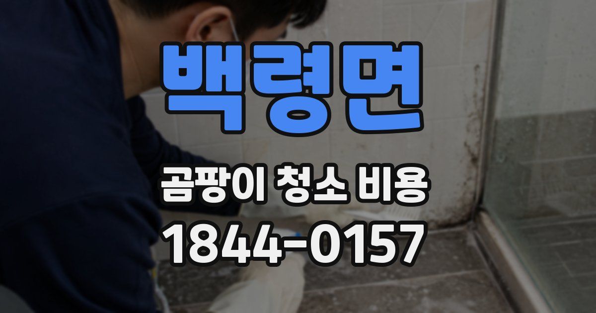 백령면 곰팡이 청소 비용
