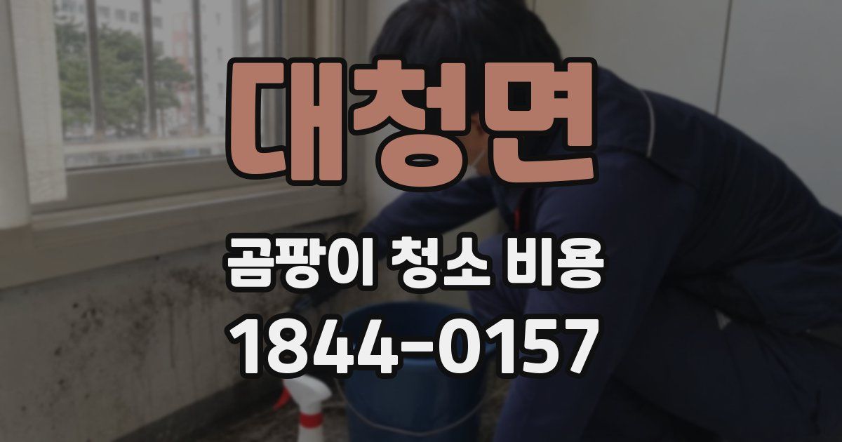 대청면 곰팡이 청소 비용
