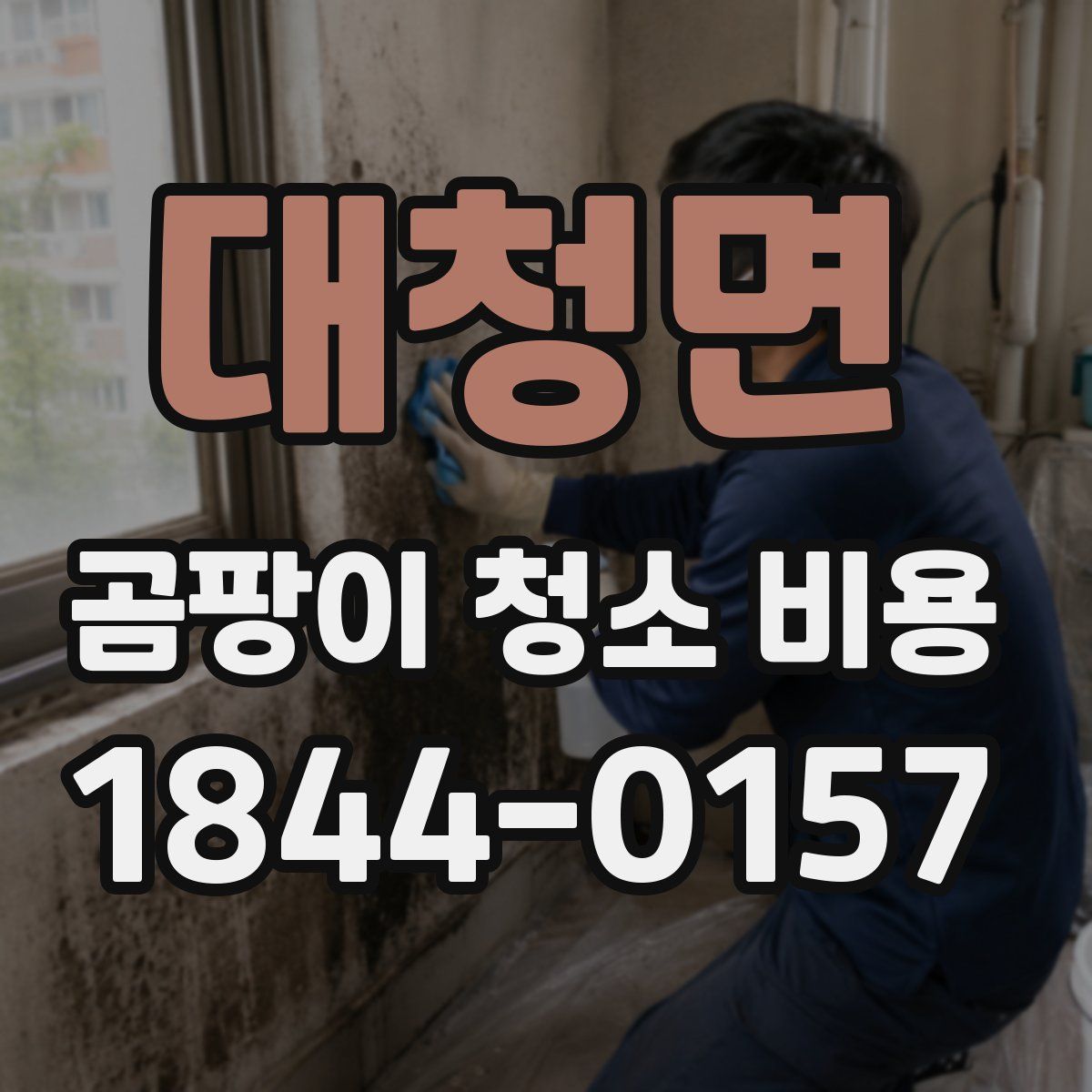 대청면 곰팡이 청소 비용