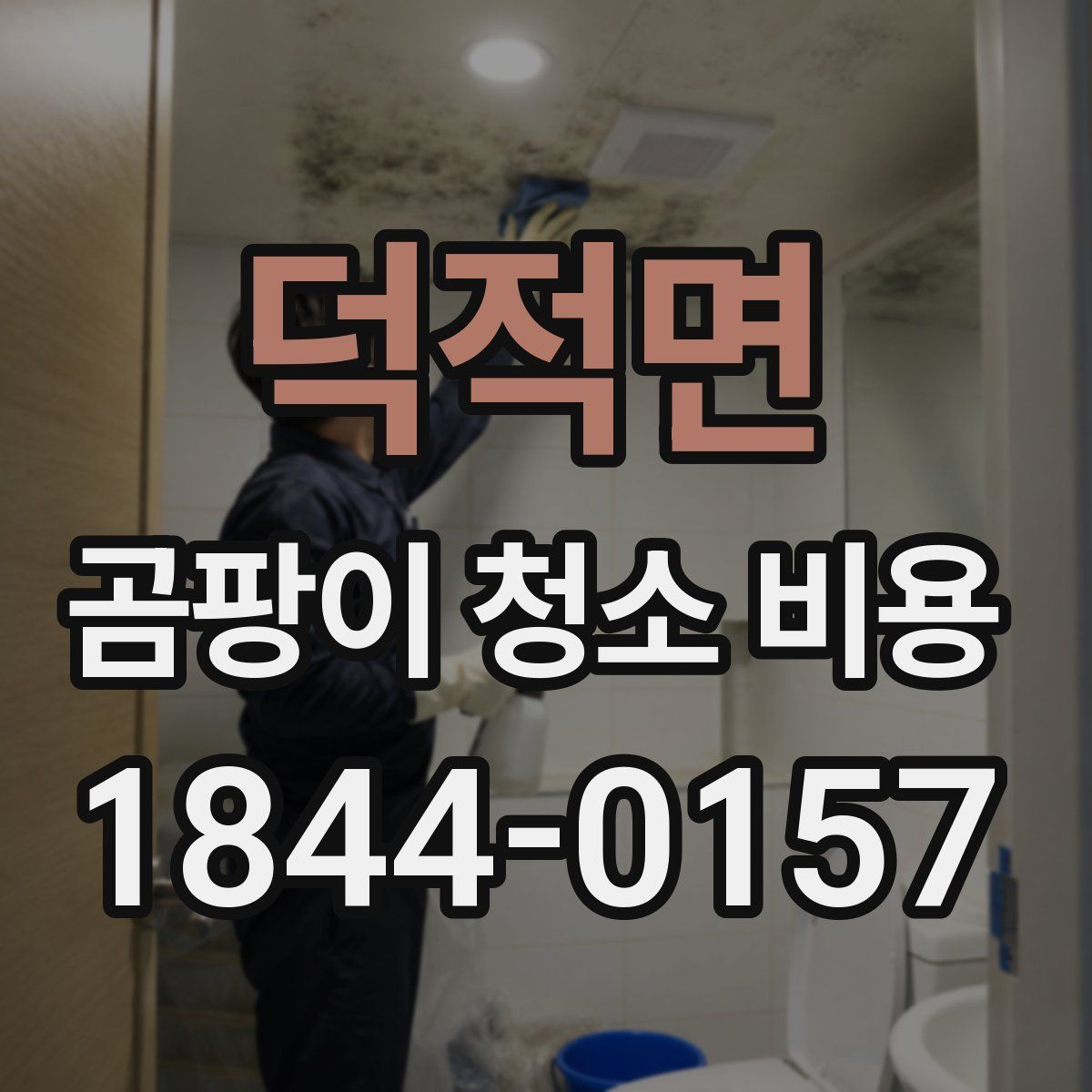 덕적면 곰팡이 청소 비용